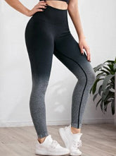 Legging Gradiente